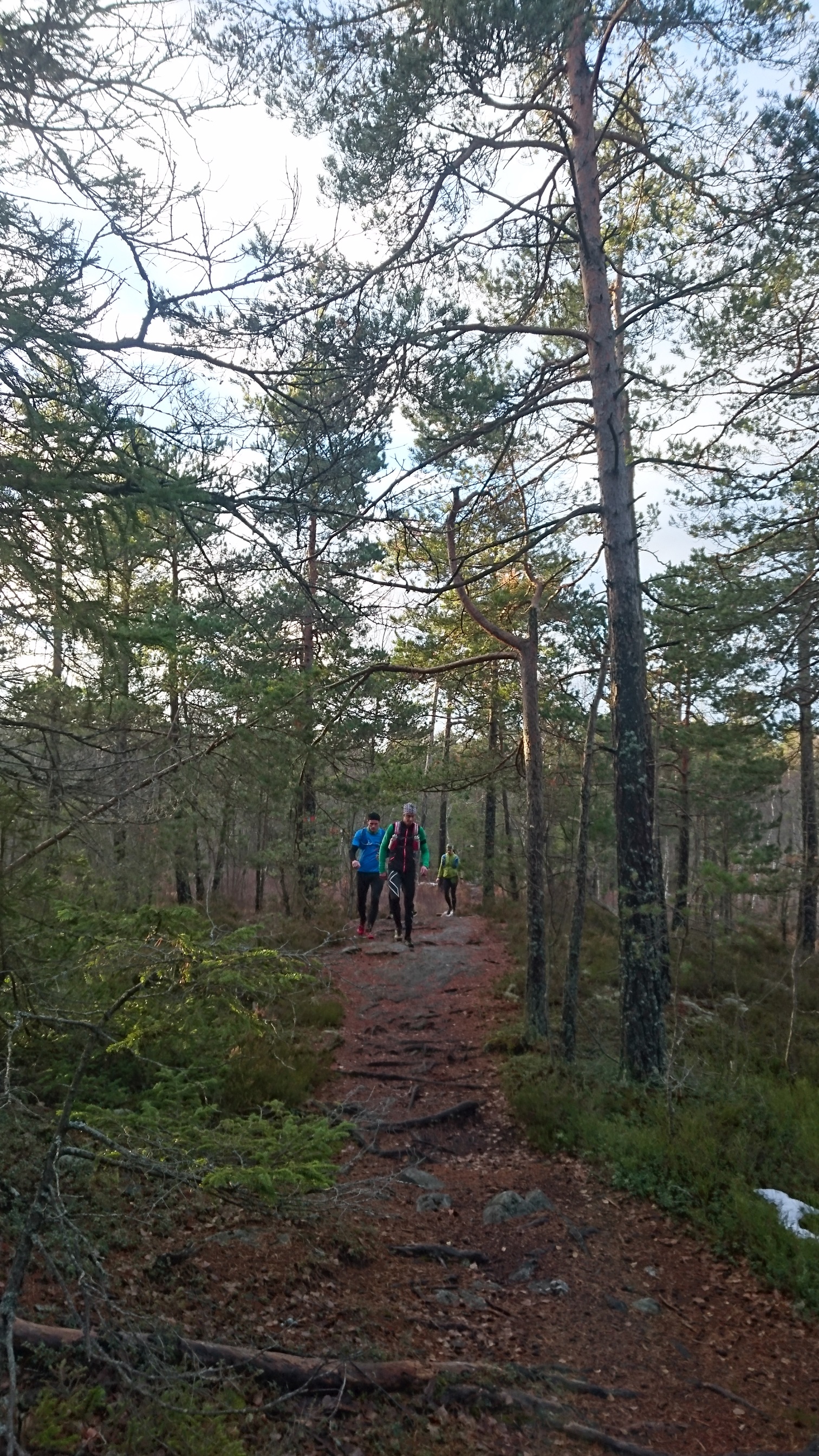 November Ultra Trail Södertörn 2016.